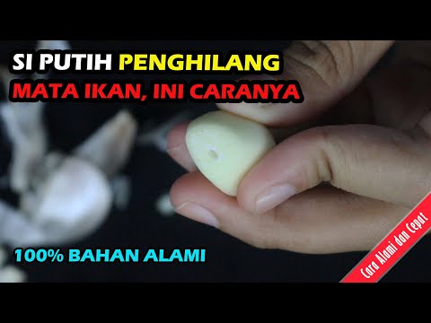 5 Menit Mata Ikan Hilang! Cara Mengobati Mata Ikan di Kaki Kaki Tanpa Operasi dengan Bahan Alami