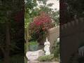 Royal jaipur stay,palace luxury,travel short vedio, English/malayalam lizyammasworld
