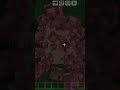 “Minecraft But This Loop Never Ends 😳🔁”@ZnexorZ #minecraft #minecraftshorts #gaming