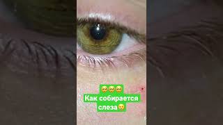 Как собирается слеза😳