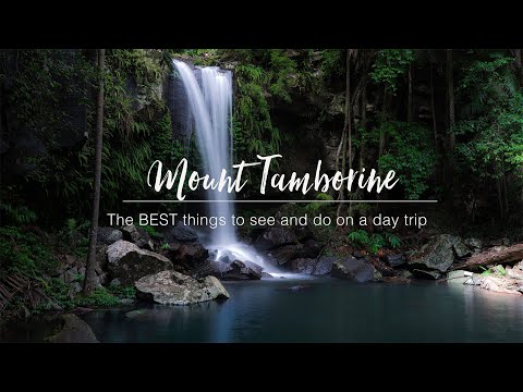 Fun Things to Do in Tamborine Mountain | Travel Guide (2024) | Best Places to Visit