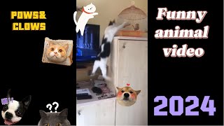Funniest Cats And Dogs Videos #14 😁 - Paws\&claws comedy 2024 (#trynottolaugh) 🥰