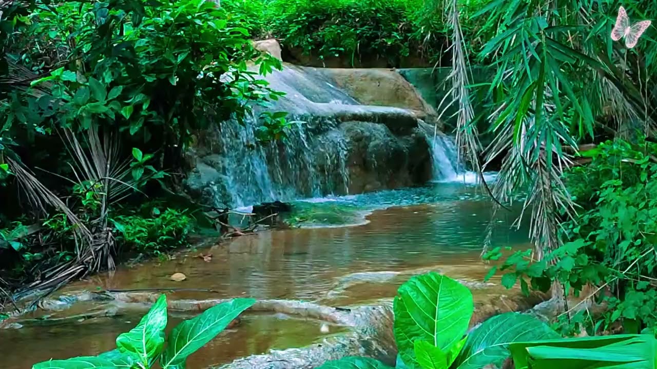 Relaxing Music For Stress Relief, Anxiety and Depressive States🌲 Heal Mind, Body and Soul Relax 2