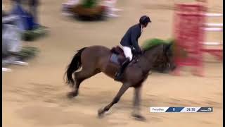 NAPOLI VH NEDERASSENTHOF: Born 2013 by President/Quasimodo Z - CSI5*-W Basel 2024 150 cm