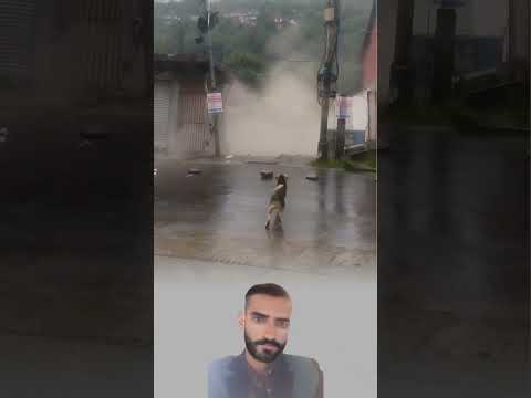 حين شال السيل البيت بقي الخوف في عيني الكلب شاهدا على الرعب لايك اكسبلور