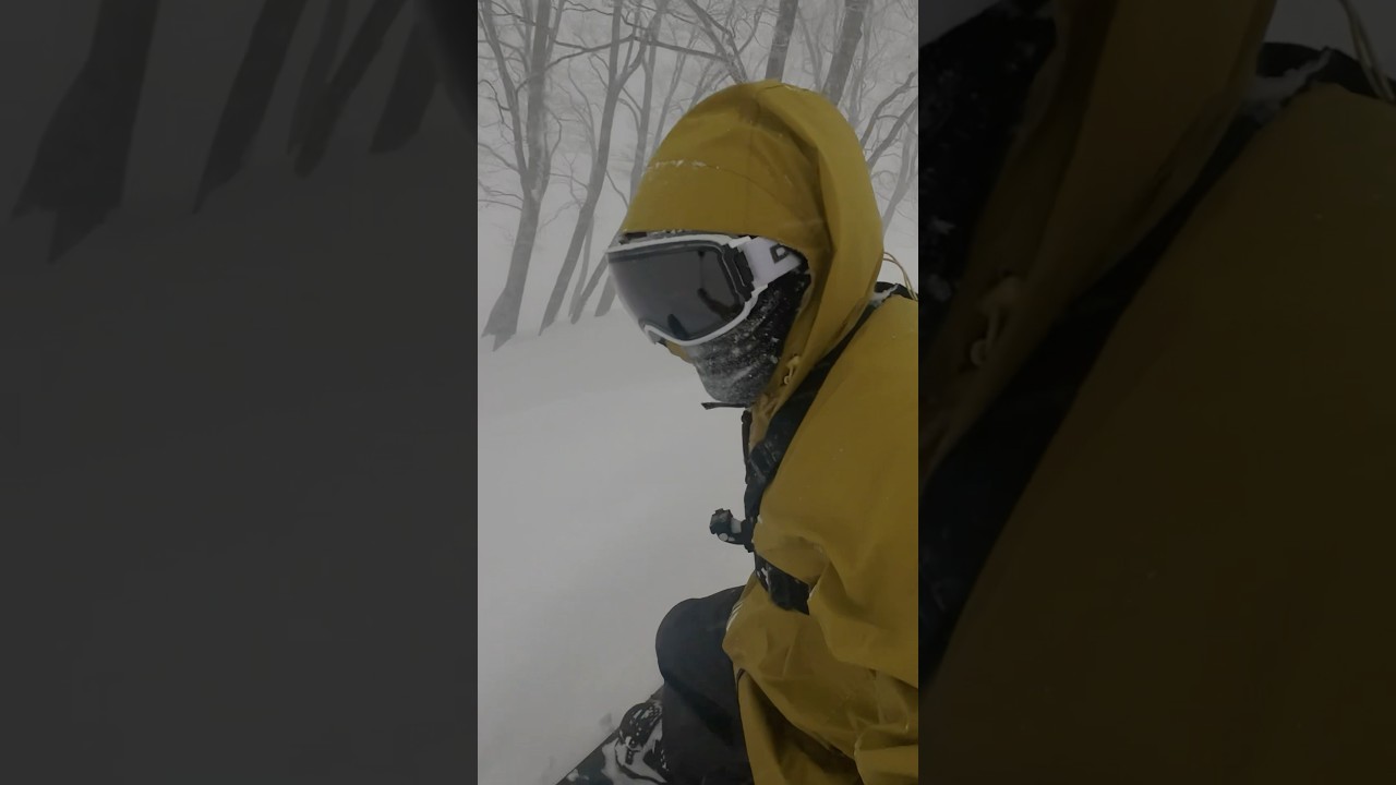 노자와, 요코테야마, 하쿠바로 떠난 파우더 원정🏂 #노자와 #요코테야마 #하쿠바 #snowboarding #snowboard #비비드필름 #파우더원정
