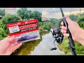 Roadside ALABAMA Creek Fishing!!