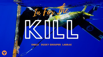 In For The Kill | E15 | Spearfishing Omilu, Dusky Grouper & Labrax