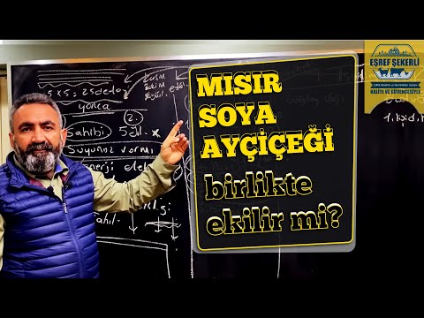 Video: Mısır ve soya fasulyesini neden döndürüyorsunuz?