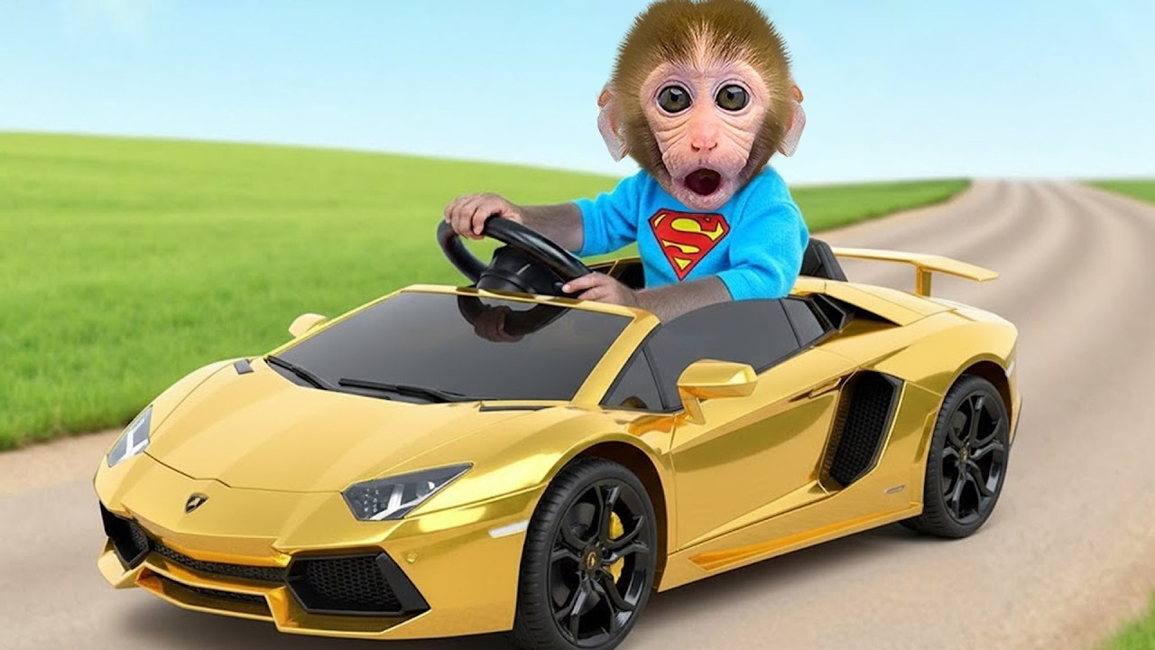 꼬마 원숭이 GoGo가 아기 오리가 비밀이 가득한 보물 상자를 함께 탐험해요! - Gogo Monkey Aventure