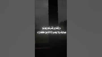 تلاوة خاشعة تريح لقلب من سورة نوح #quran
