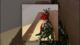 Justin Bieber - Mistletoe [sped up]