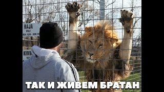 весёлые картинки  1. 2