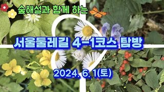 #숲해설과 함께 하는 명산탐방#서울둘레길 4-1코스#대모산.구룡산자락길