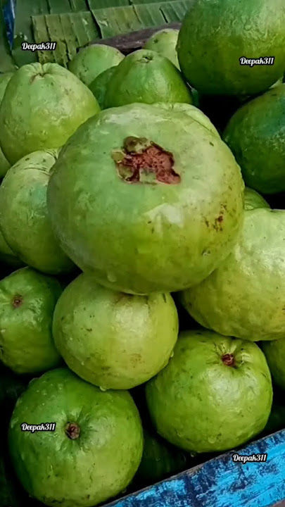 சளி இருமலுக்கு கொய்யா பழத்தை மிளகுத்தூள் தொட்டு சாப்பிட்டால் உடனே சரியாகும் #tamilhealthtips #tamil
