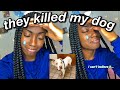 STORYTIME: THE POUND KILLED MY DOG
