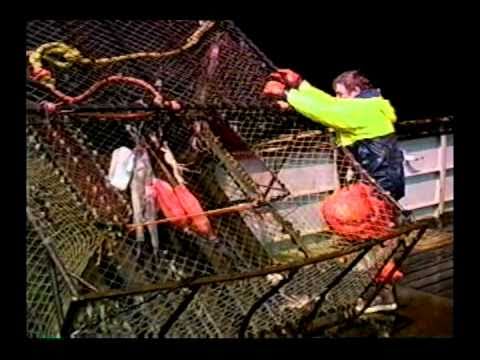 Bering Sea Adventures with Chris Trosvig -- Episod...