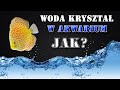 Jak utrzymać krystalicznie czystą wodę w akwarium ? 💧