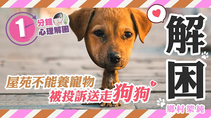 【解困中】屋苑不能養寵物   被投訴送走狗狗 - 天天要聞