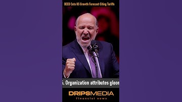 OECD Cuts US Growth Forecast Citing Tariffs