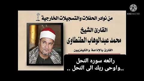 الشيخ محمد عبد الوهاب الطنطاوى سوره النحل ٢٠٠٥ تسجيل استريو