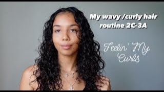 My Wavy/Curly Hair routine 2C-3A screenshot 2