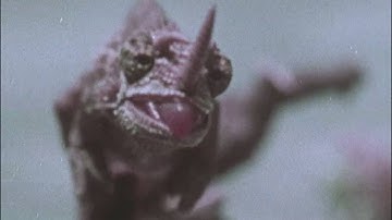 A series of Time Lapse Films