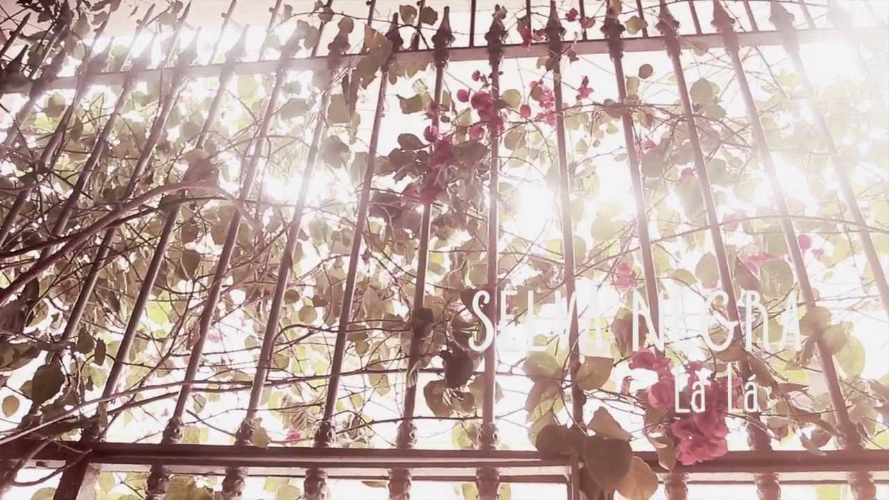 Selva Negra - La Lá - YouTube