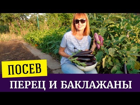 Когда посеять перец на рассаде в 2018 году в соответствии с лунным календарем