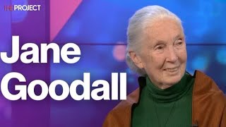 Jane Goodall On Why We Should Be Hopeful For The Future