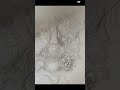 doodling dimensions #doodling #art #creative #sketching #digitalart #abstractart