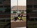Ocelli is officially running in the 152nd Kentucky Derby. 🙂‍↕️ #kentuckyderby #run #race #derby #win