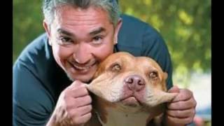 Dear Mr Cesar Millan tribute in verse