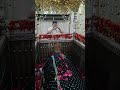 ALL PROBLEMS SOLUTION JALALI RUHANI ILAJ MIRA DATAR DARGAH SHARIF CONTACT NUMBER +91 9879592386