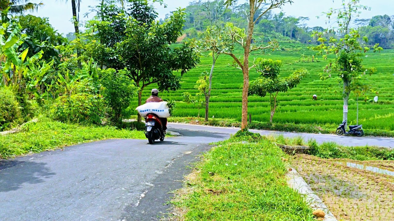 Desa Indah Dengan Alamnya Yang Sejuk Dan Asri Tersembunyi Di Bawah Gunung Lawu