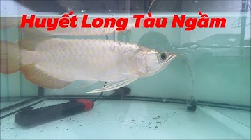 Ly thánh gấp giúp khách chấp nhận lỗ, anh em nhanh tay nhé 🙏🧧