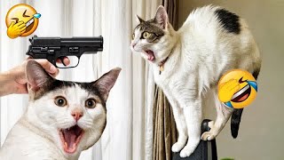 Funniest Cats And Dogs Videos😂- Best Funny Animal Videos 2024😹🐶Part 11