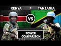 Kenya Vs Tanzania Military Power Comparison - 2020 | The Statistics