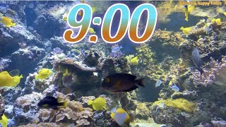 9 Minute Aquarium Timer/Countdown With Relaxing Music 🐟🐠|Cuenta Regresiva de 9 Minutos con Música. Wealth