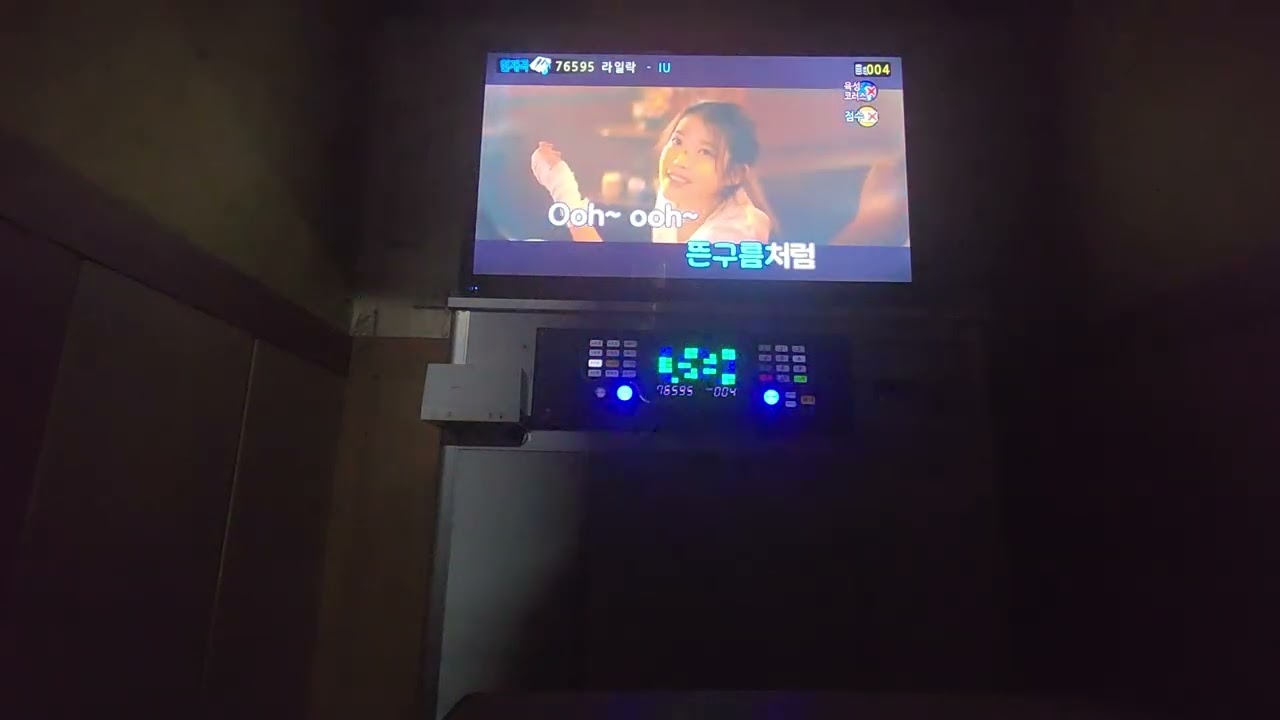 아이유 - 라일락