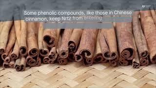Phenolic Compounds Natural Anticancer Agents