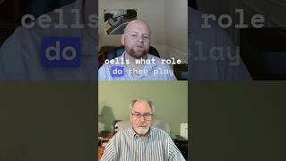 The Overlooked Heroes Of Your Brain