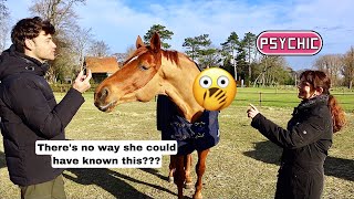 PSYCHIC TALKS TO MY AUSTRALIAN HORSE