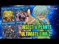 Search 5 Traps! - [Master Duel] Traptrix Ragnaraika Deck Profile Yu Gi Oh