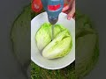 Chopper vs cabbage #satisfying #food #asmr #chopper #cabbage #video #viral #trending