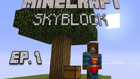 Minecraft: Skyblock the Survival Expert Ep.1 (The Cobblestone Generator!)