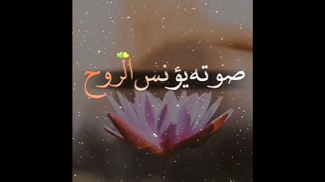 وما أرسلناك إلا رحمة الله القارئ إسلام صبحي حالات واتس اب تلاوة خاشعة