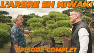 La Visite Complète de BRENELIA NIWAKI avec YVES BRENELIÈRE  🌳 ⛩️