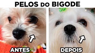 Cortar ou Não os Pelos que Ficam na Frente dos Olhos?