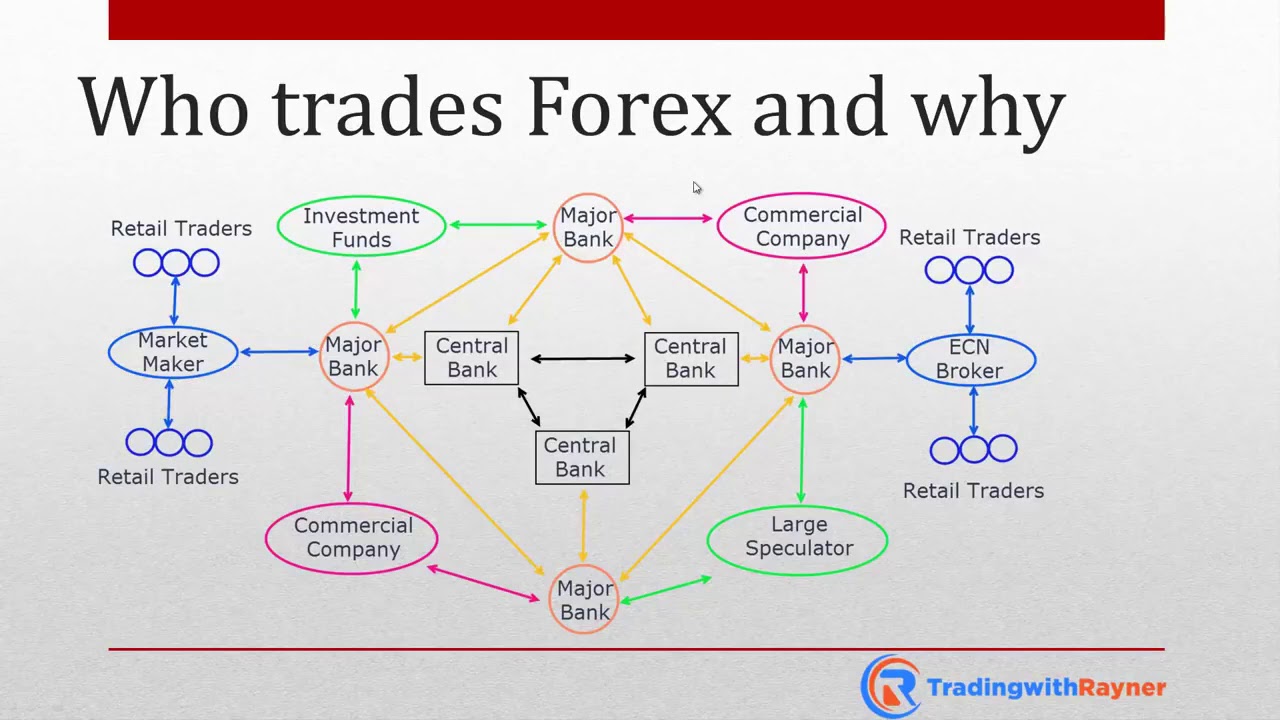 How Does The Forex Market Work Forex Retro